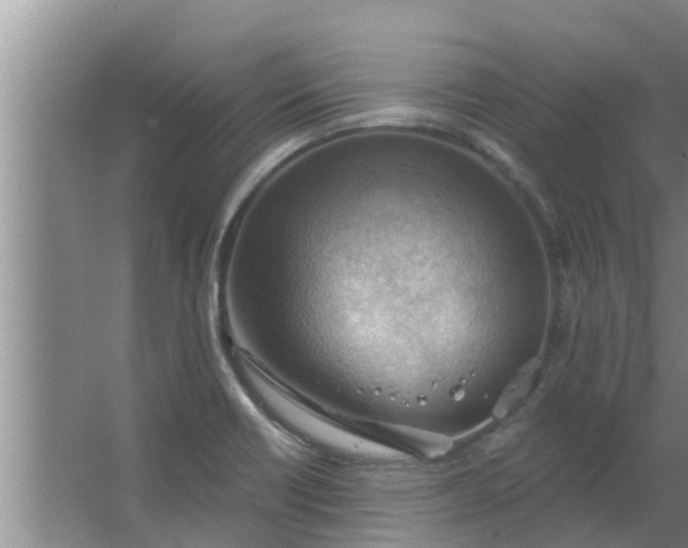 X0000063531418200602032124