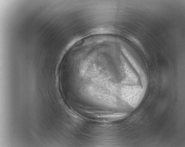 X0000063531419200602032124