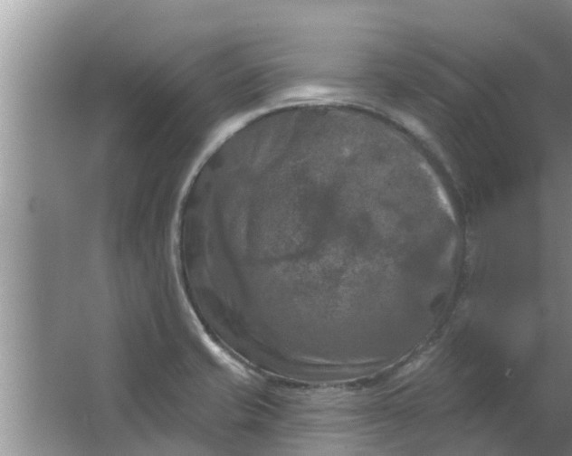 X0000063531421200602032124