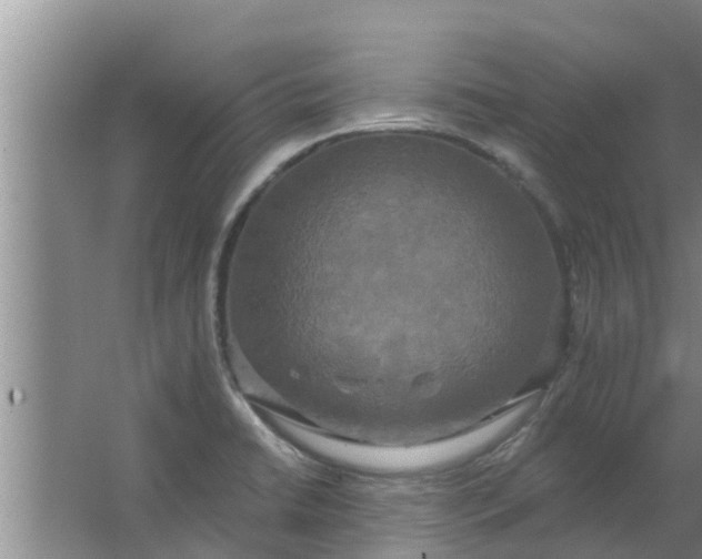 X0000063531422200602032124