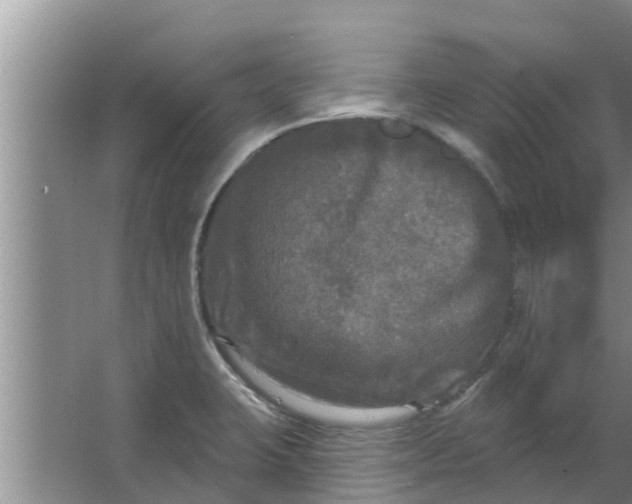 X0000063531423200602032124