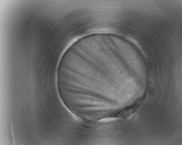 X0000063531424200602032124