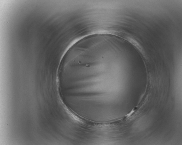 X0000063531428200602032124