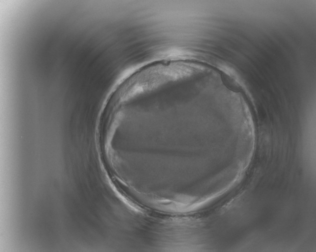 X0000063531429200602032124