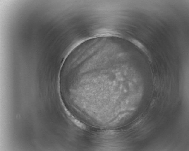 X0000063531431200602032124