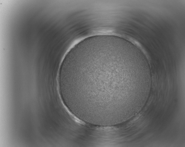 X0000063531432200602032124