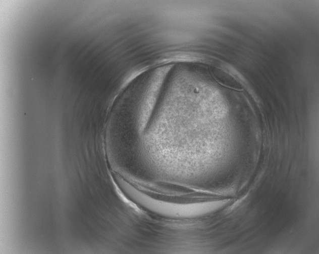 X0000063531433200602032124