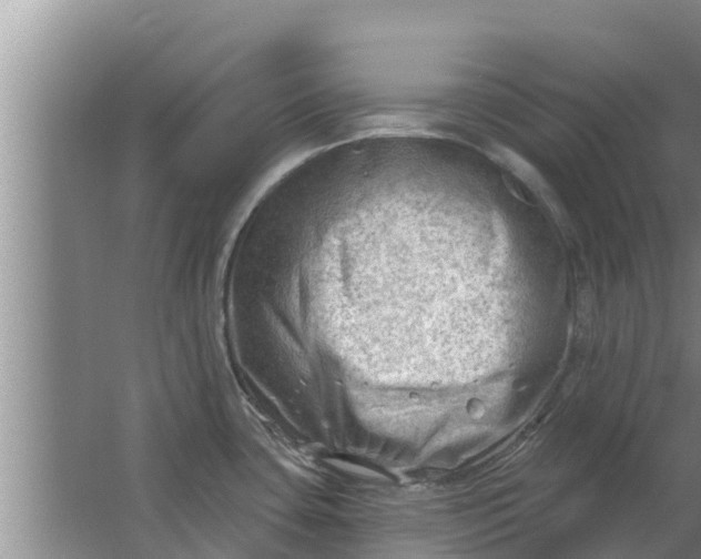 X0000063531435200602032125