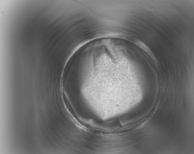 X0000063531436200602032125