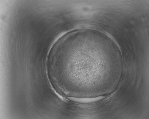 X0000063531437200602032125