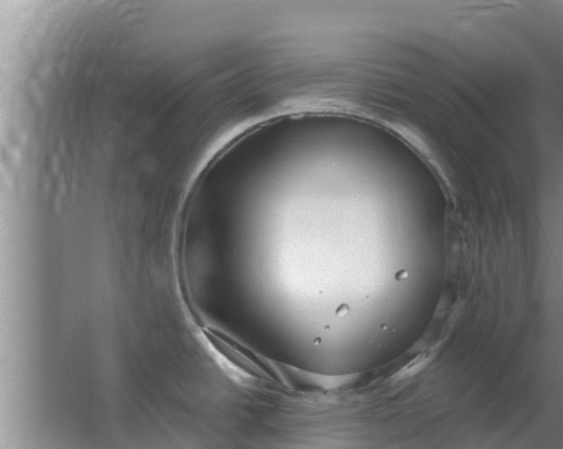 X0000063531438200602032125