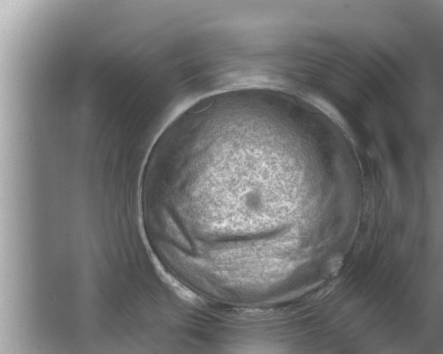 X0000063531439200602032125