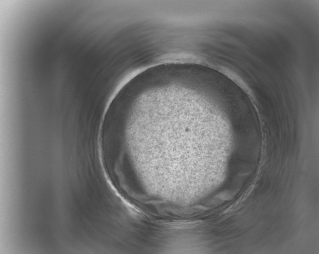 X0000063531440200602032125