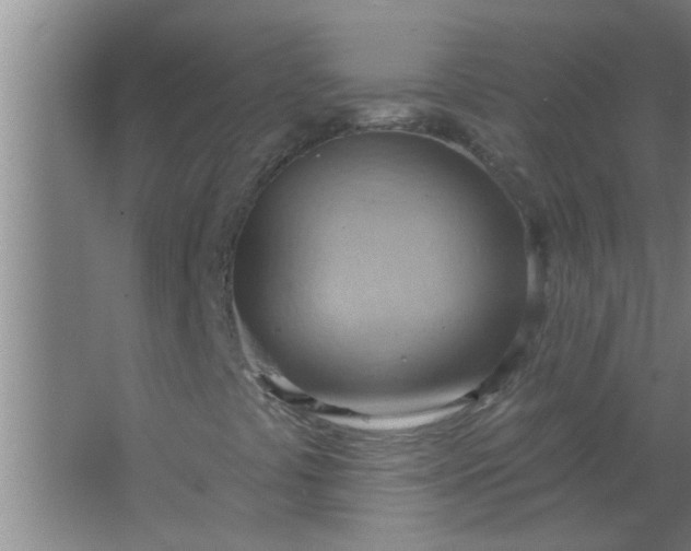 X0000063531441200602032124