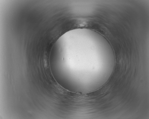 X0000063531442200602032124