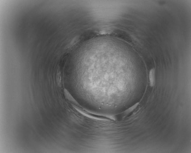 X0000063531443200602032124