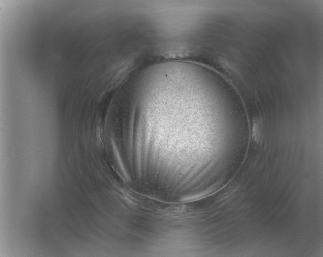 X0000063531444200602032124