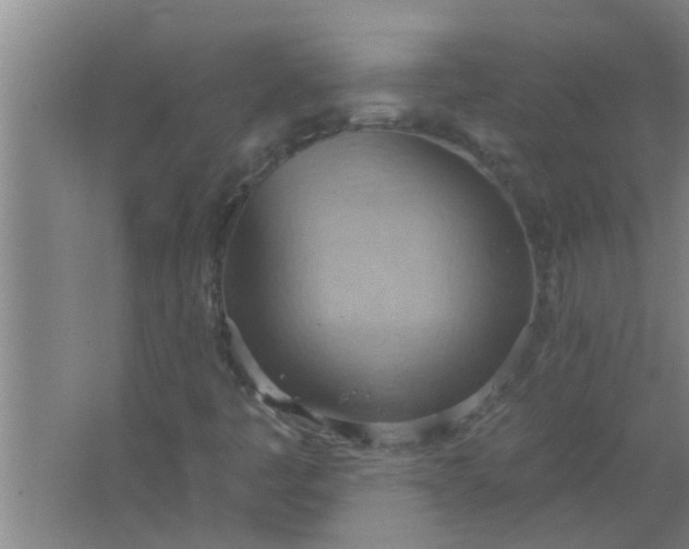 X0000063531445200602032124