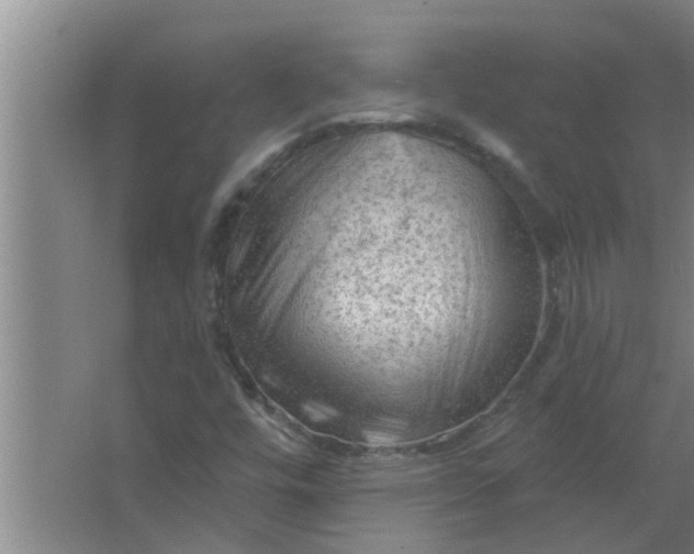 X0000063531448200602032124