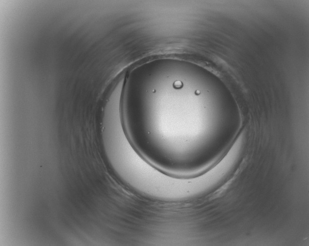 X0000063531449200602032124