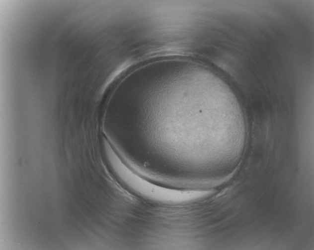 X0000063531450200602032124