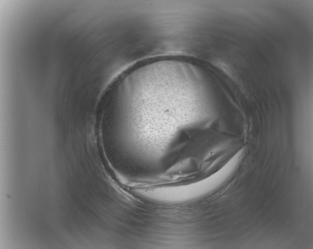 X0000063531452200602032124