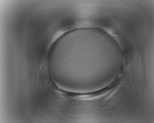 X0000063531453200602032124