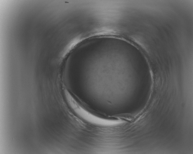 X0000063531455200602032124