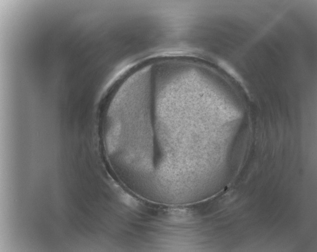 X0000063531456200602032124