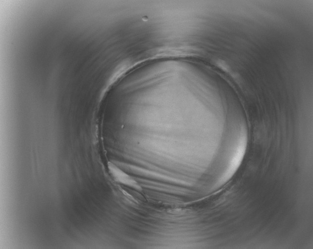 X0000063531459200602032124