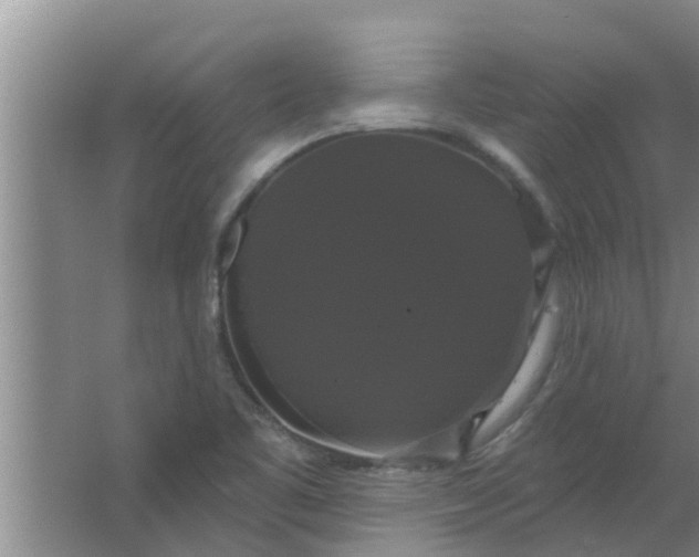 X0000063531461200602032123