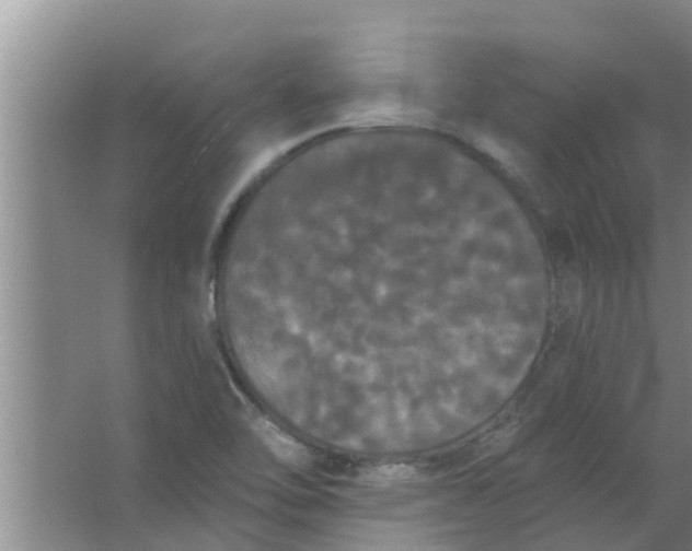 X0000063531462200602032123