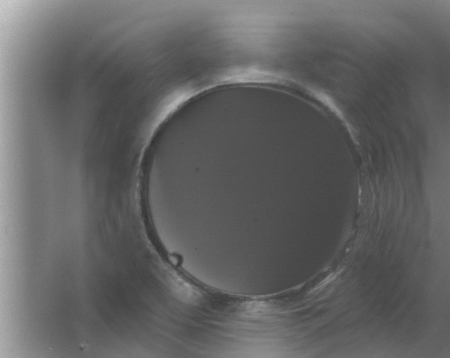 X0000063531463200602032123