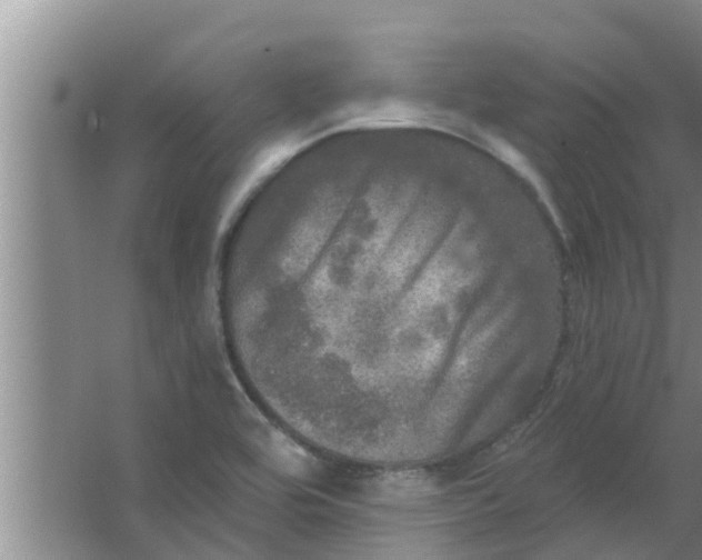 X0000063531464200602032123