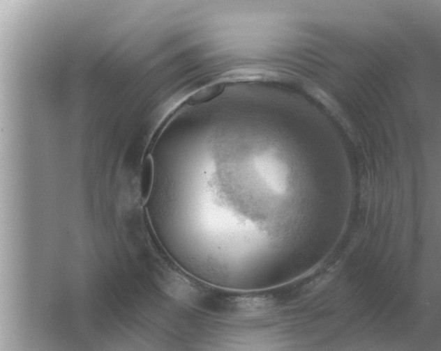 X0000063531465200602032123