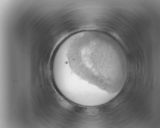 X0000063531466200602032123