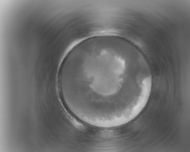 X0000063531470200602032123