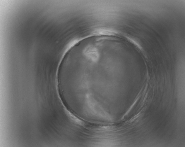 X0000063531471200602032123