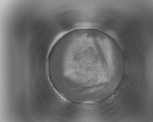 X0000063531472200602032123