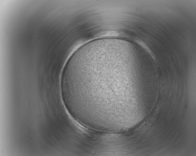 X0000063531475200602032123