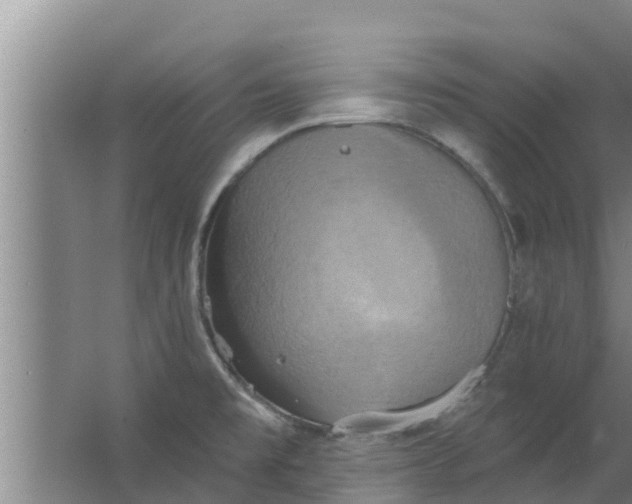 X0000063531477200602032123