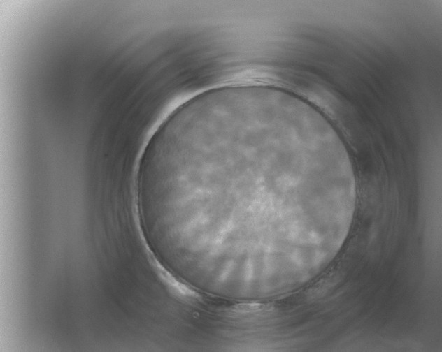 X0000063531478200602032123