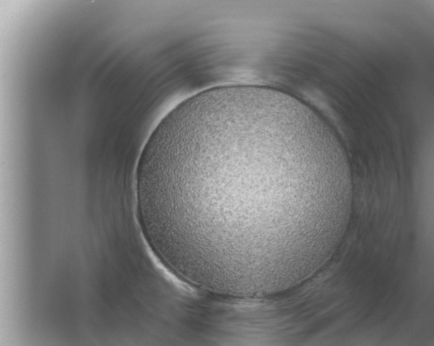 X0000063531479200602032123