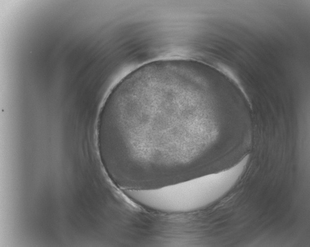 X0000063531480200602032123