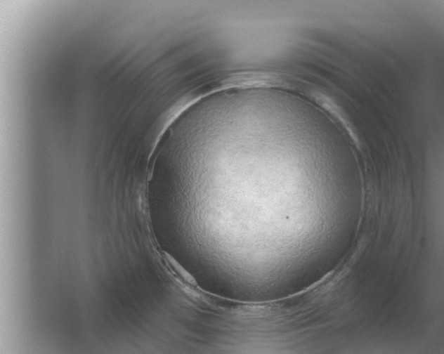 X0000063531481200602032123