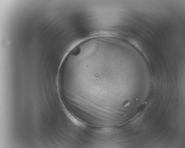 X0000063531482200602032123