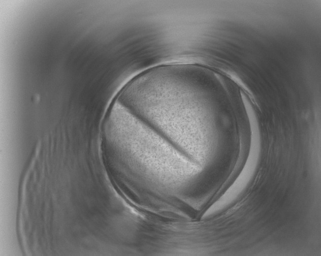 X0000063531484200602032123