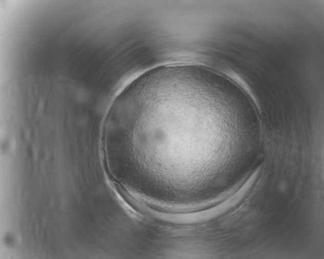 X0000063531485200602032123