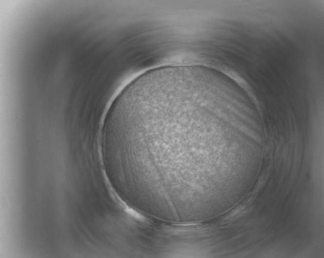 X0000063531486200602032123