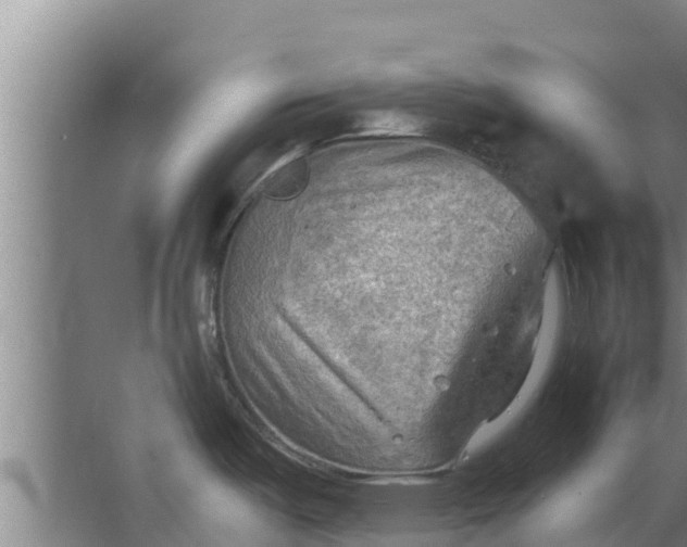 X0000063531487200602032123